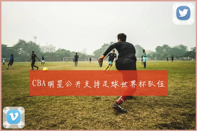 CBA明星公开支持足球世界杯队伍