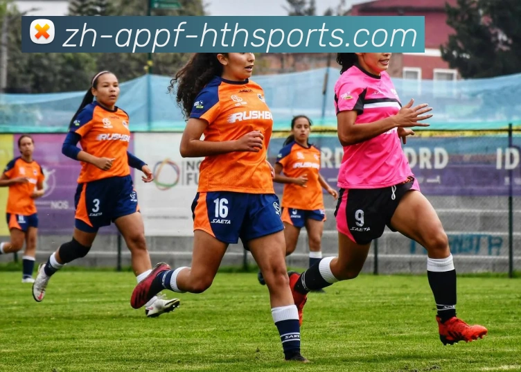 华体会hth平台生态图